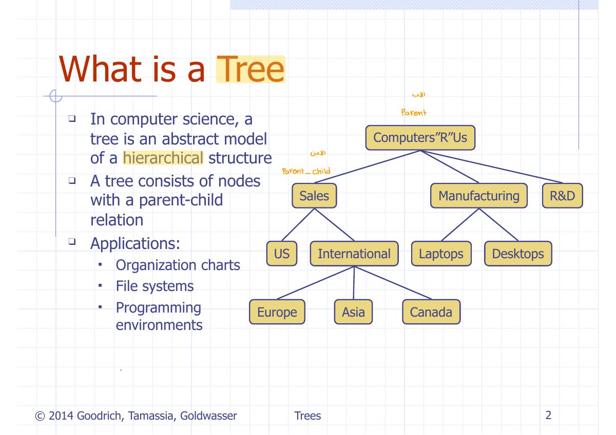 Slide 2: What is a Tree