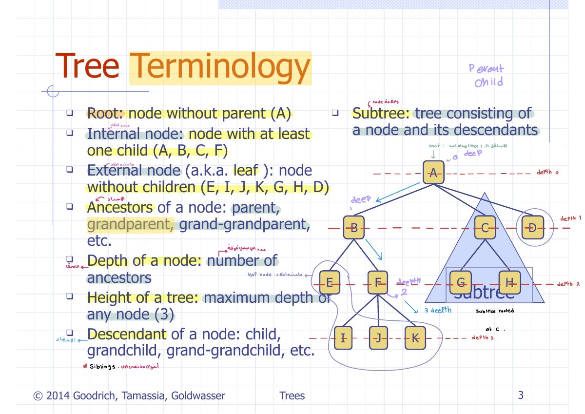 Slide 3: Tree Terminology