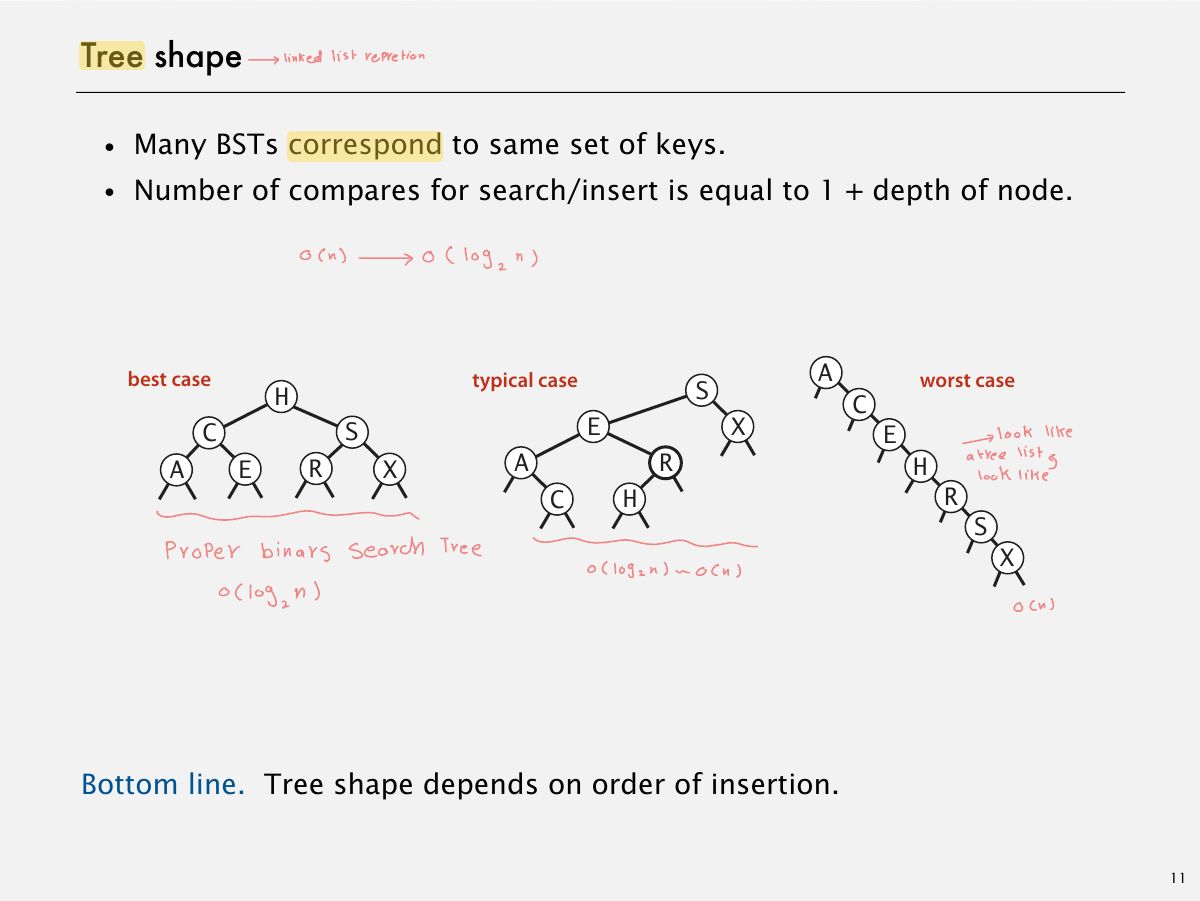 Slide 13: Tree shape