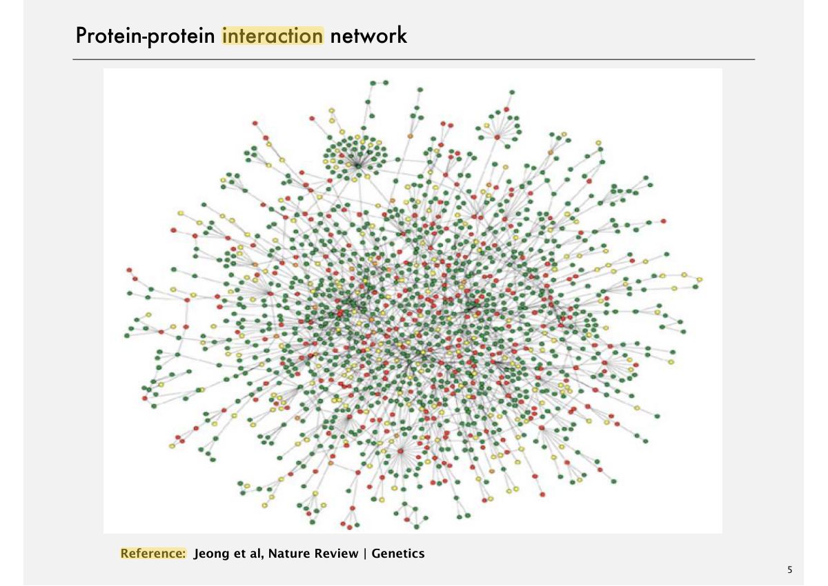 Slide 5: Protein-protein interaction network