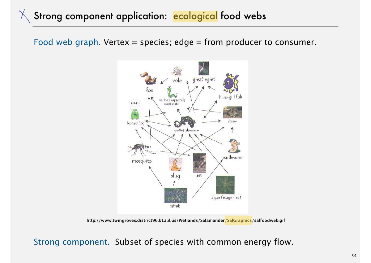 Slide 57: Strong component application: ecological food webs