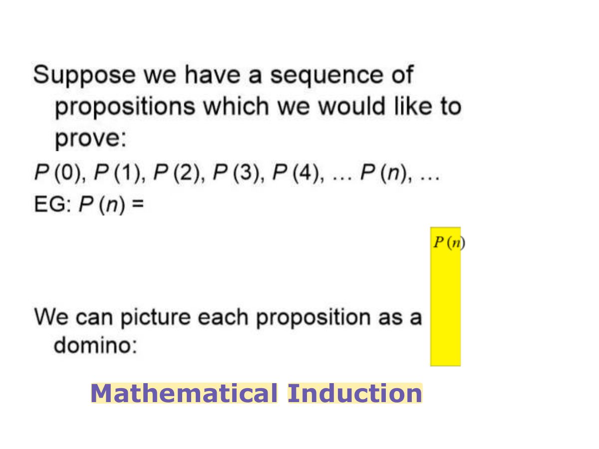 Slide 5: Slide 5