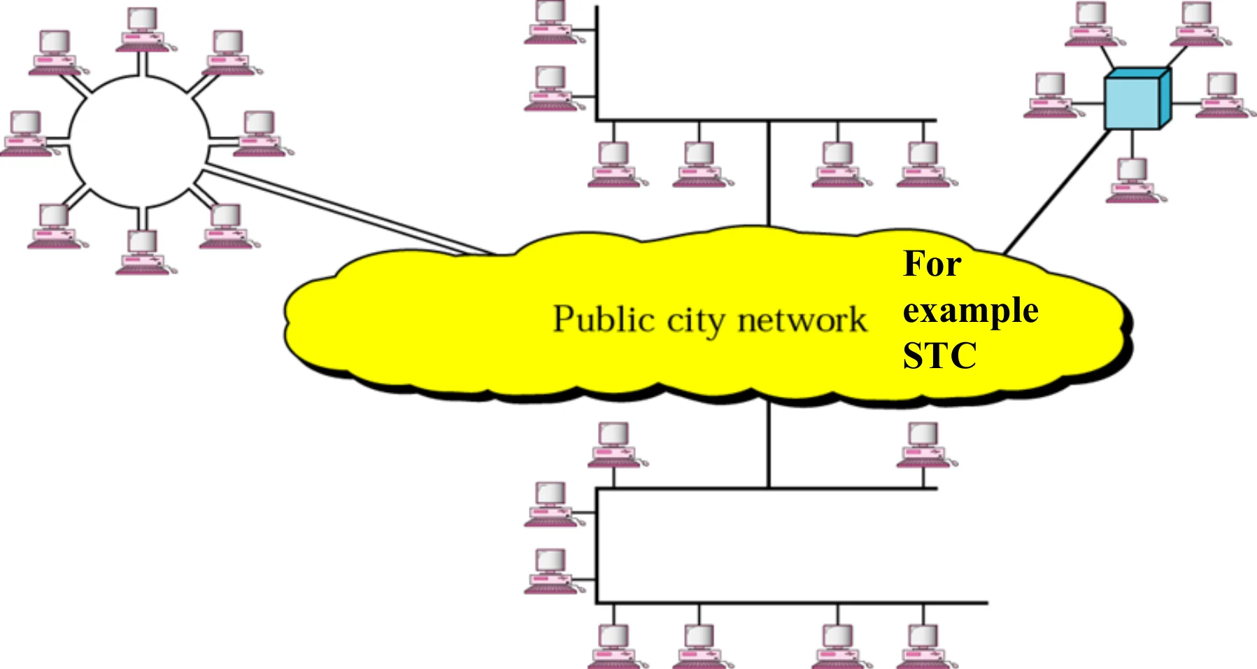Several LANs connected through a public city network