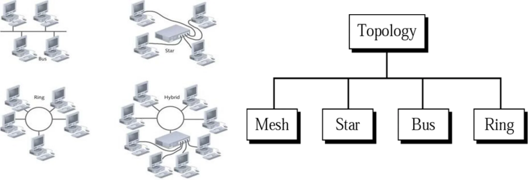 Topology splits into mesh, star, bus and ring