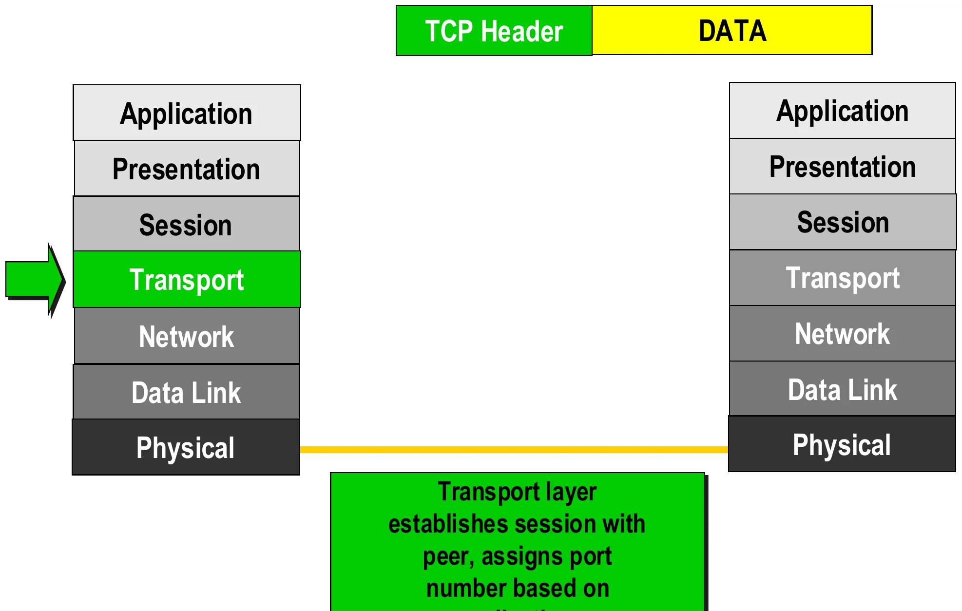 Transport adds the TCP header