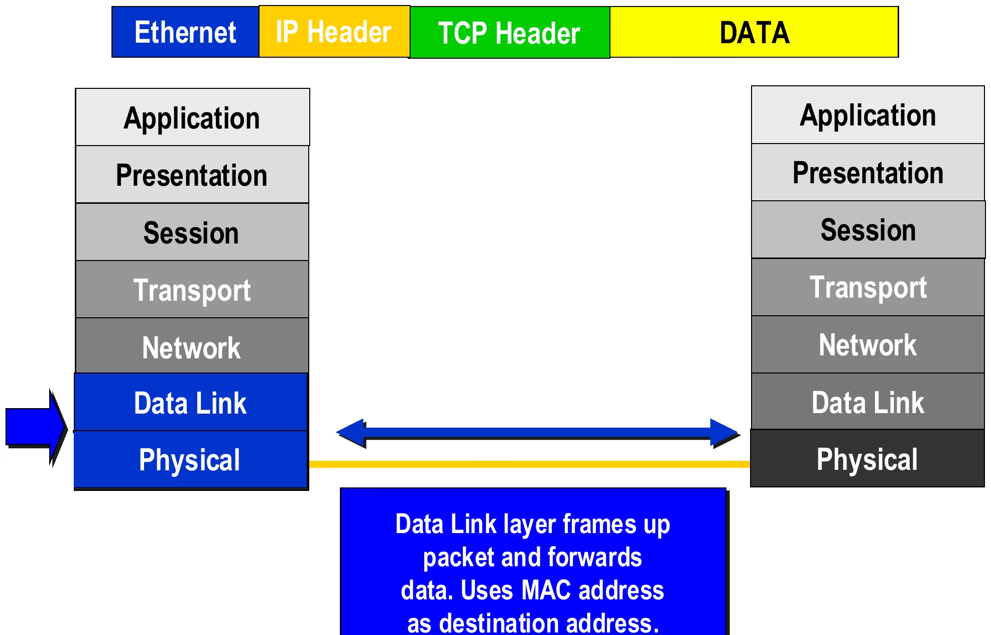 Data link adds the Ethernet header; physical sends the bits