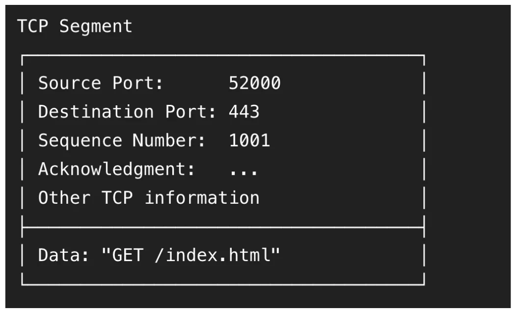 A TCP segment from source port 52000 to destination port 443 crosses an internetwork; network layer is host-to-host, transport is process-to-process