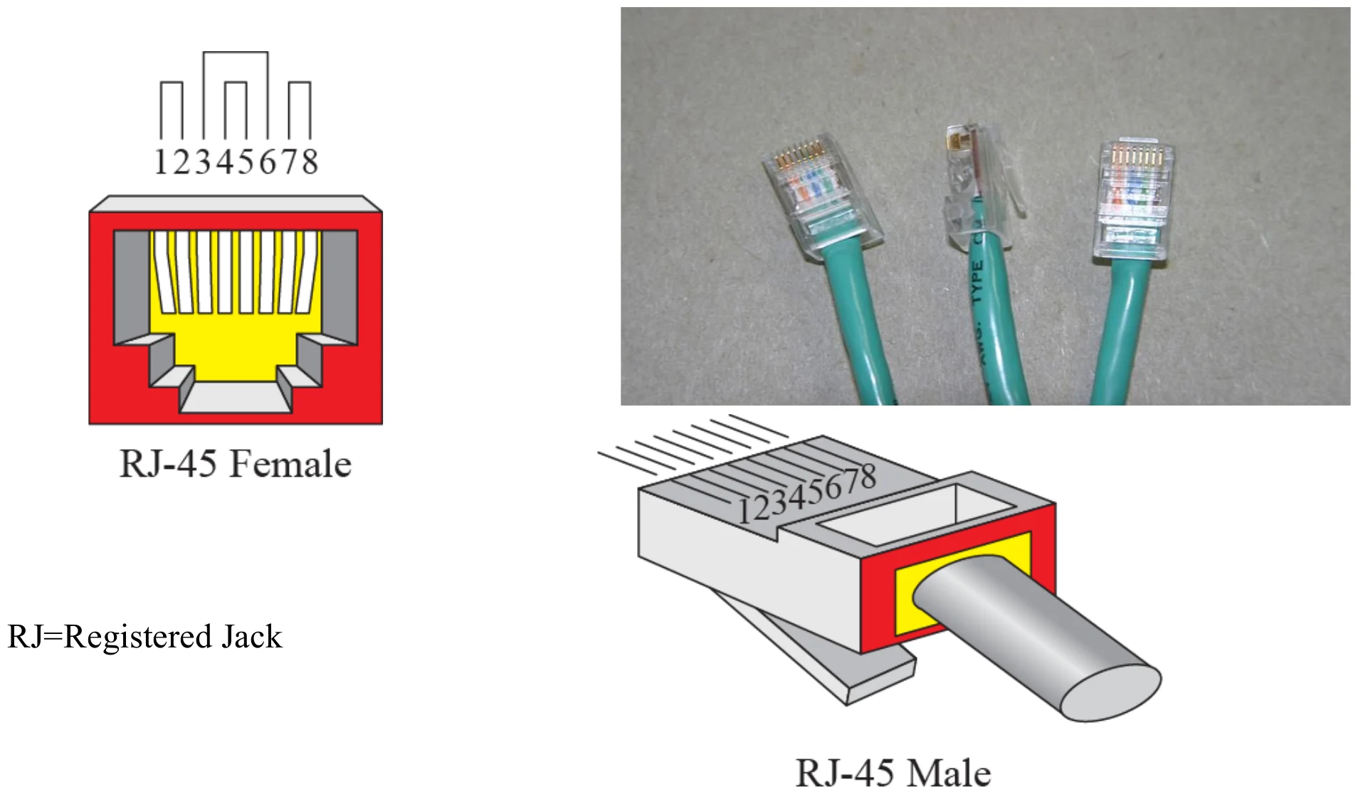 RJ-45 female socket, RJ-45 male plug, and photos of cables
