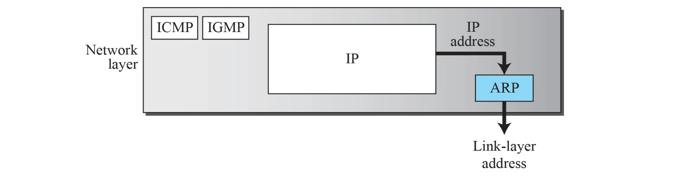ARP sits in the network layer beside IP, ICMP and IGMP, turning an IP address into a link-layer address