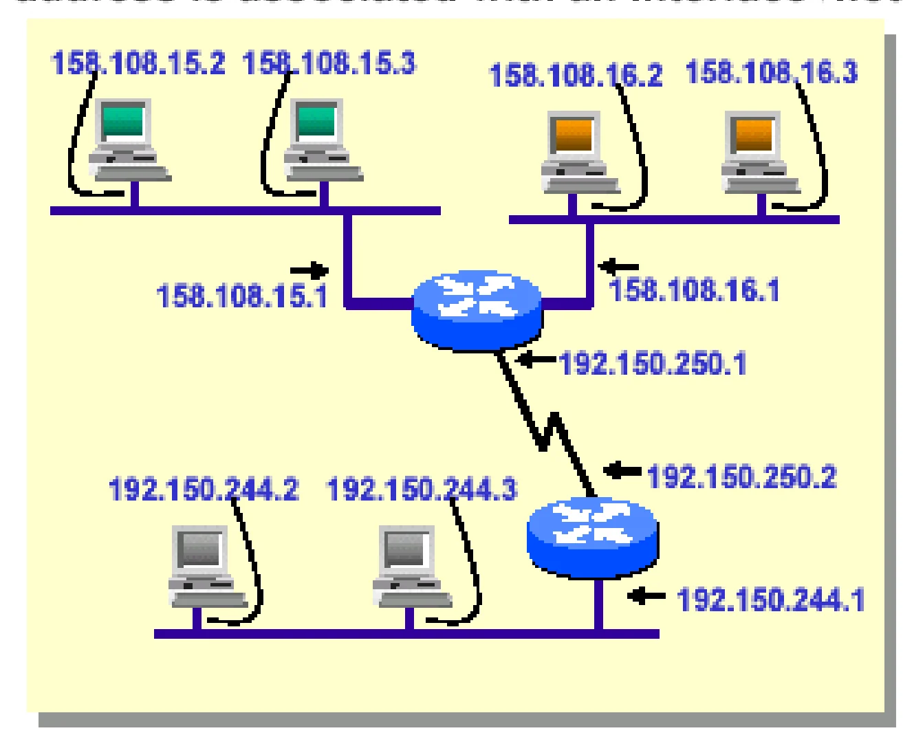 A router with interfaces in three networks has three IP addresses