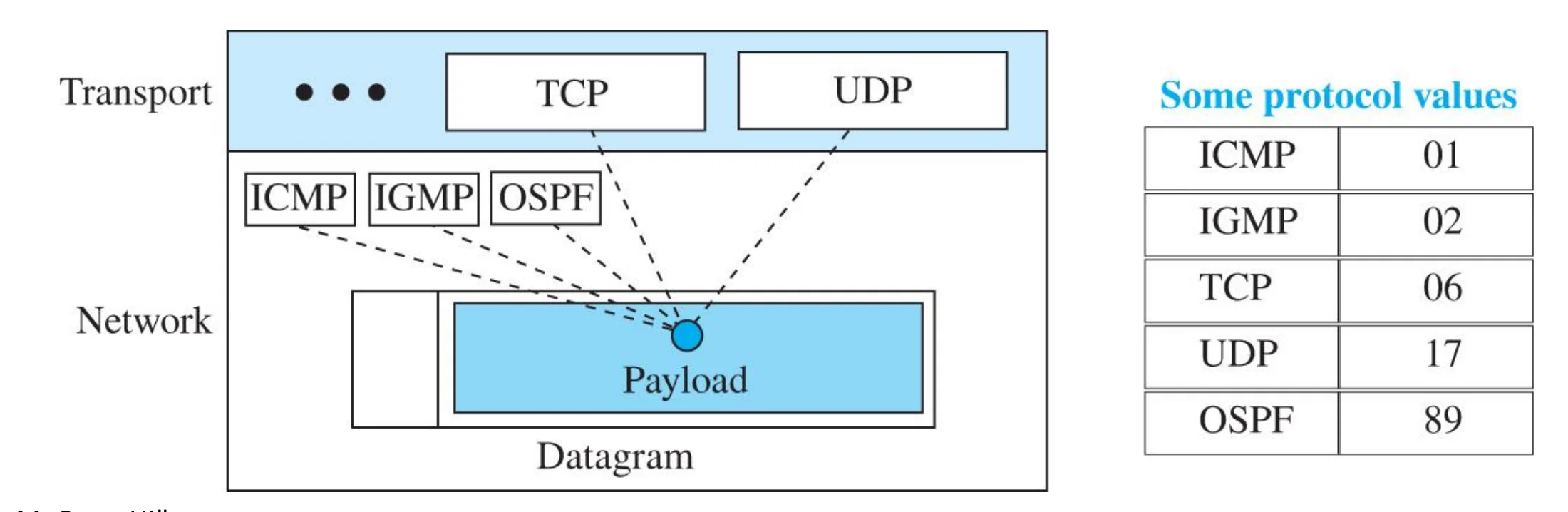 Protocol values: ICMP 01, IGMP 02, TCP 06, UDP 17, OSPF 89