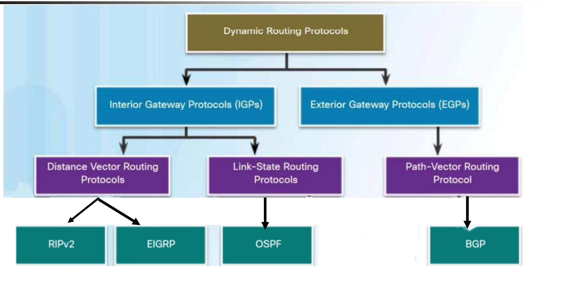 Interior gateway protocols: distance vector (RIPv2, EIGRP), link state (OSPF). Exterior: path vector (BGP)