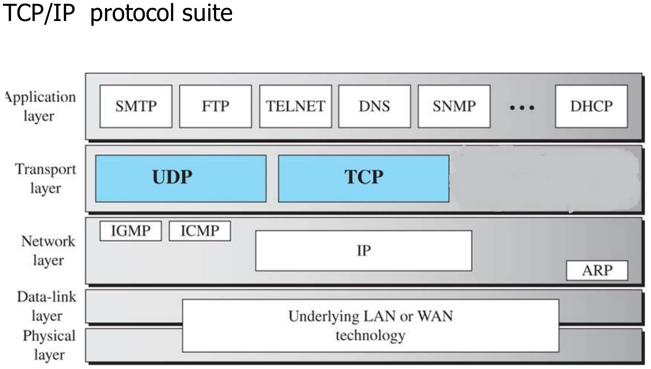 UDP and TCP between the application protocols (SMTP, FTP, TELNET, DNS, SNMP, DHCP) and IP