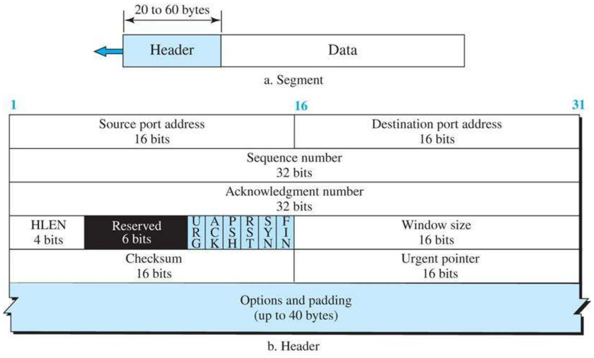 TCP header: source and destination ports, sequence number, acknowledgment number, HLEN, flags, window size, checksum, urgent pointer, options