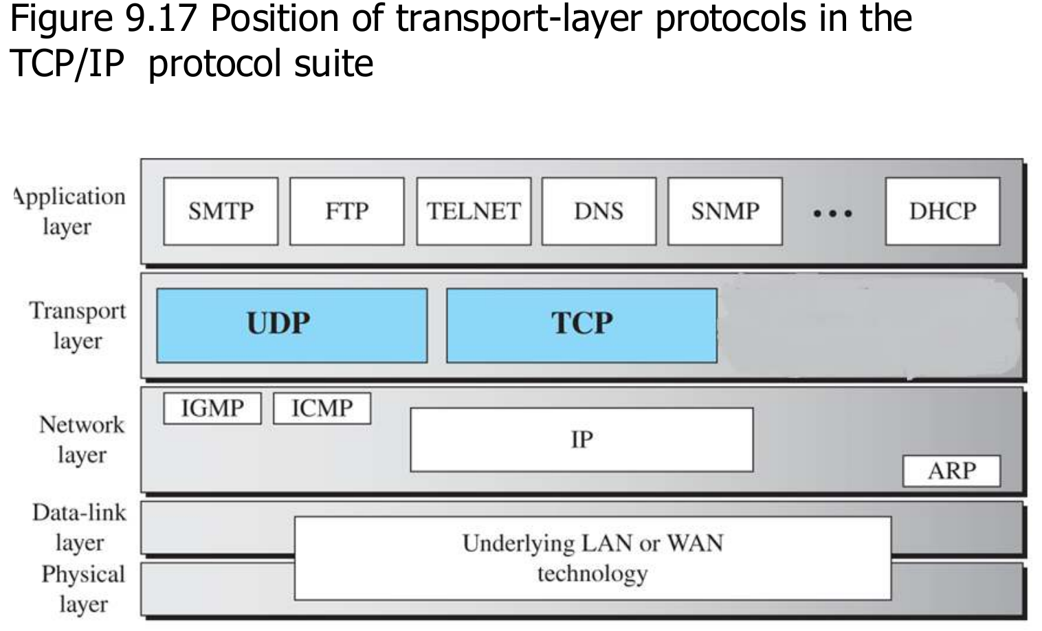 Where the transport protocols sit in the TCP/IP suite.