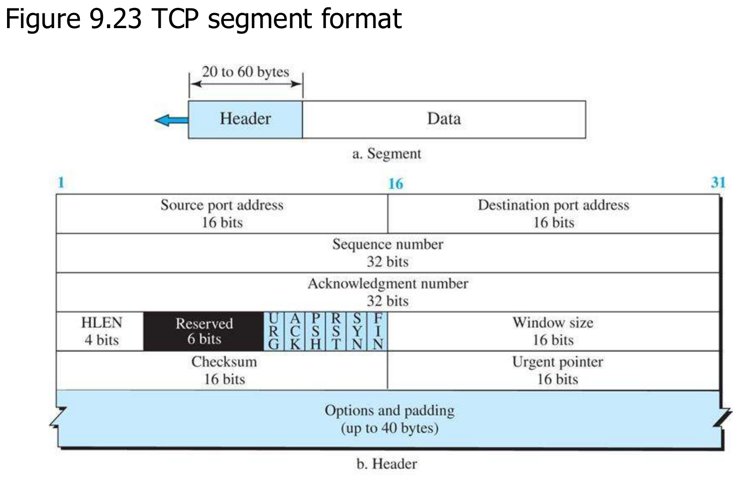 The TCP segment and its header fields.