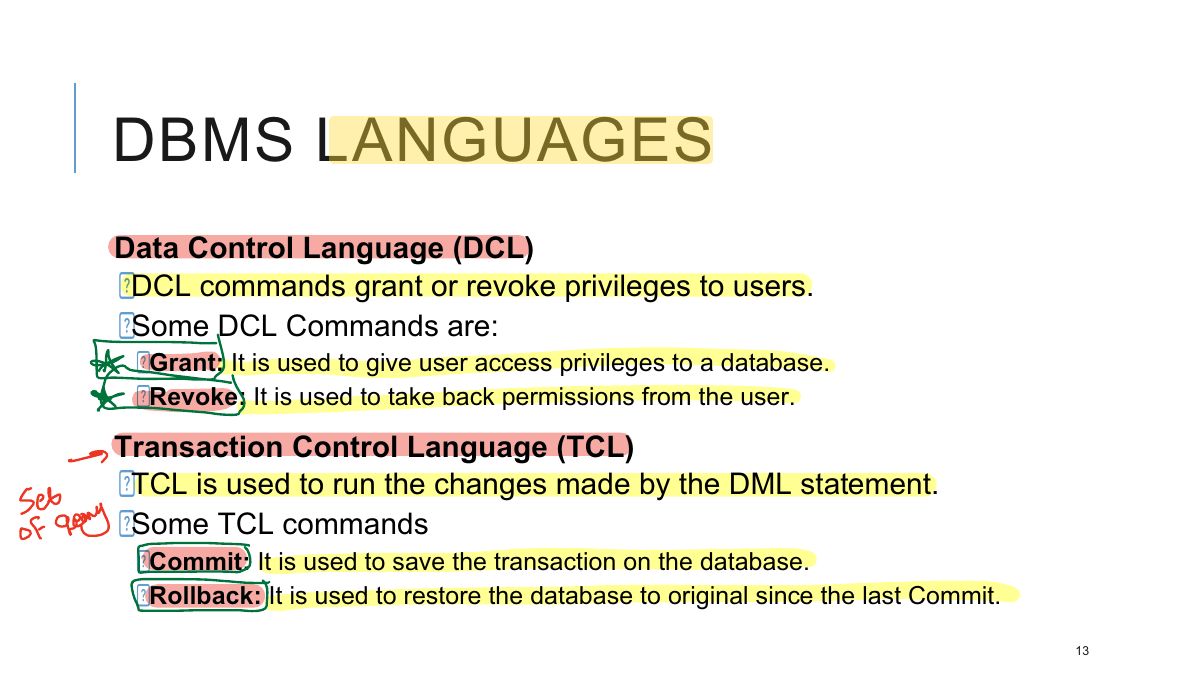 Slide 13: DBMS LANGUAGES