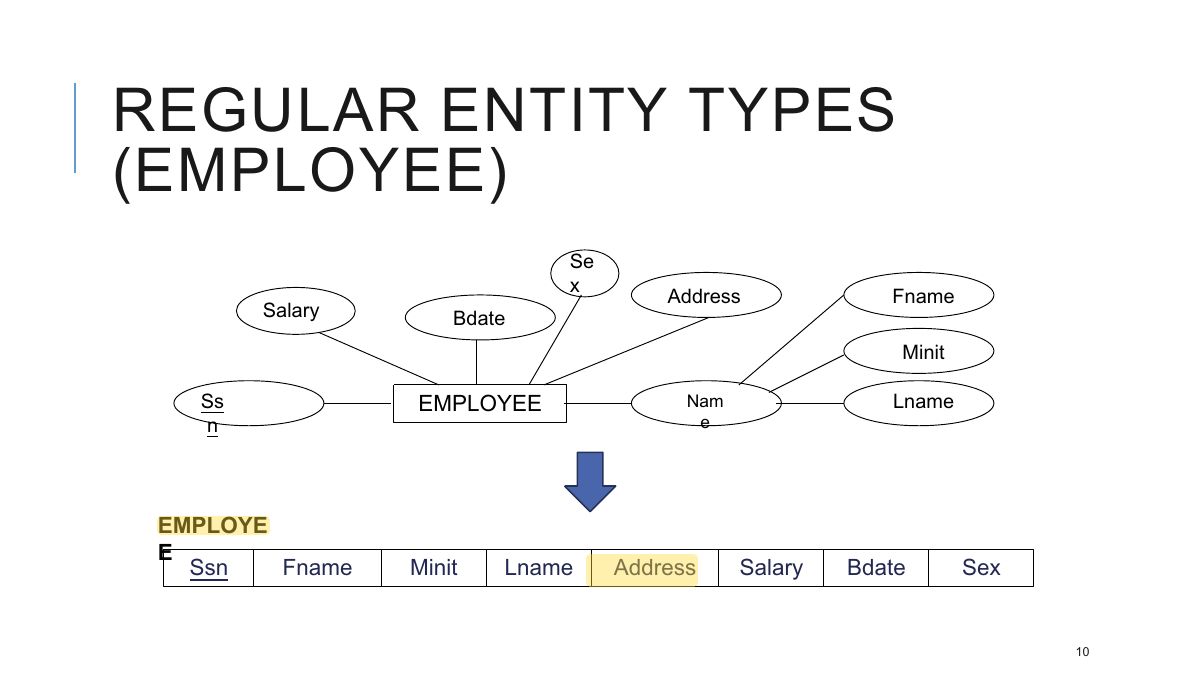 Slide 10: REGULAR ENTITY TYPES (EMPLOYEE)