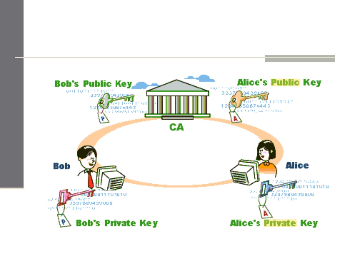 Slide 7: Slide 7
