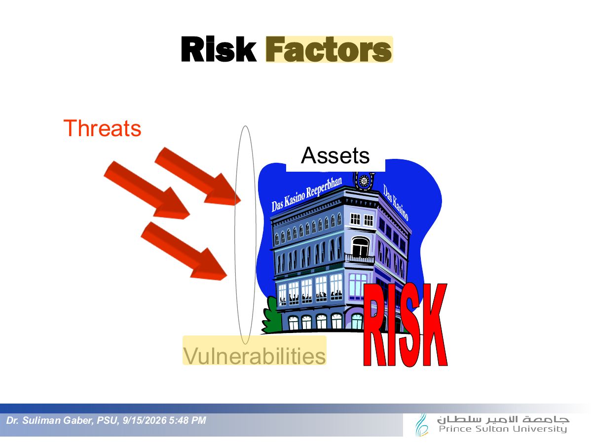 Slide 12: Risk Factors