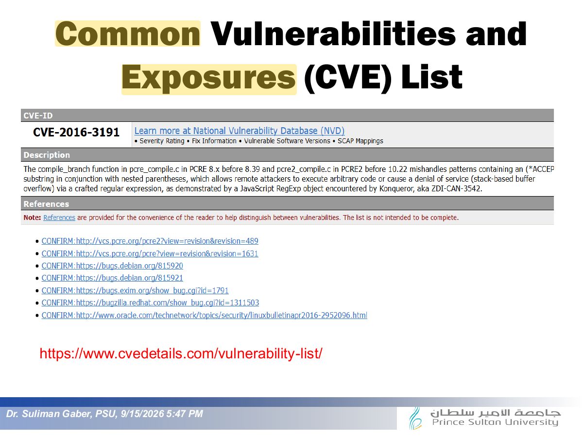 Slide 21: Common Vulnerabilities and Exposures (CVE) List