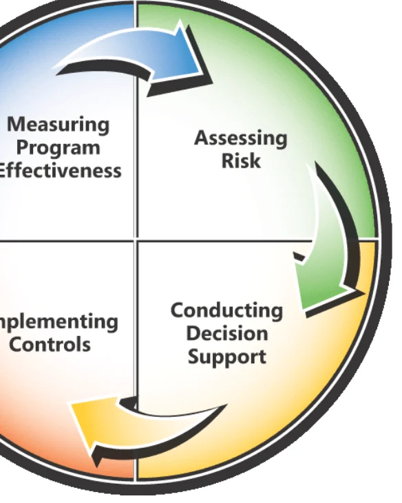 The risk management cycle.