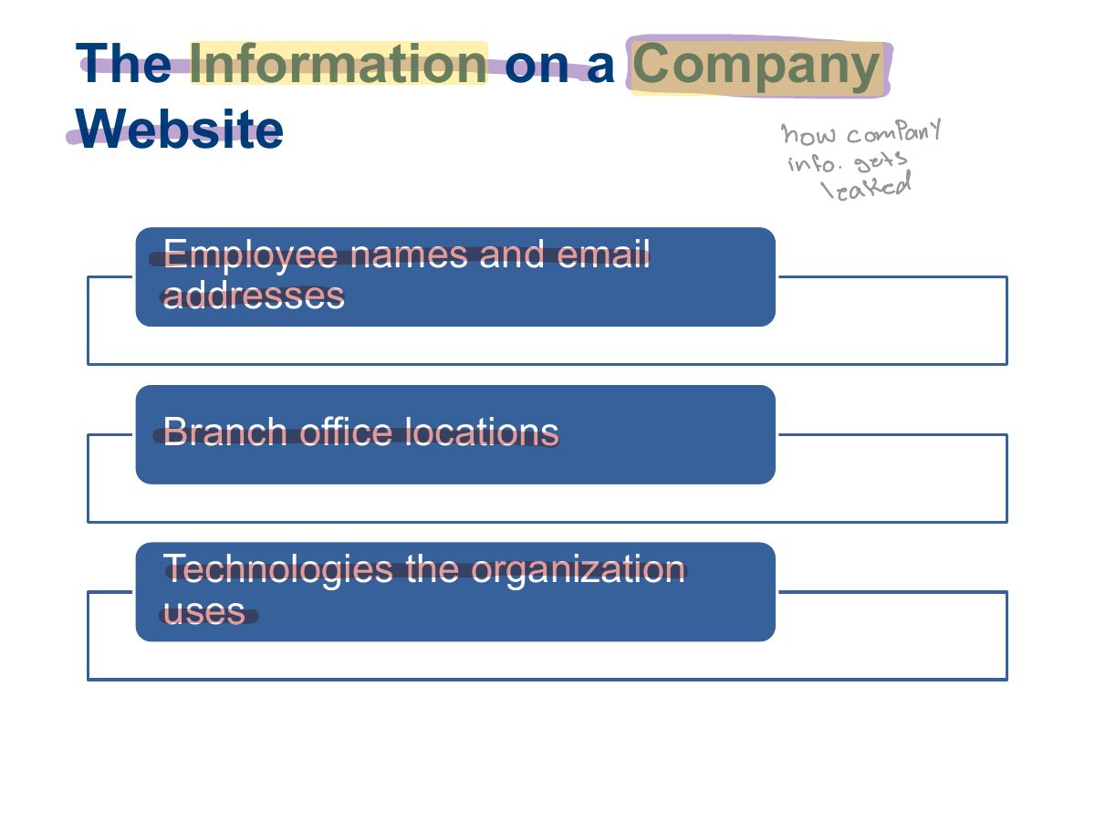 Slide 10: The Information on a Company Website