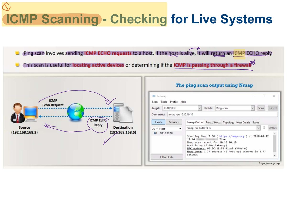 Slide 17: ICMP Scanning - Checking for Live Systems