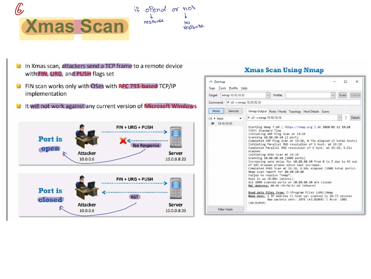 Slide 23: Xmas Scan