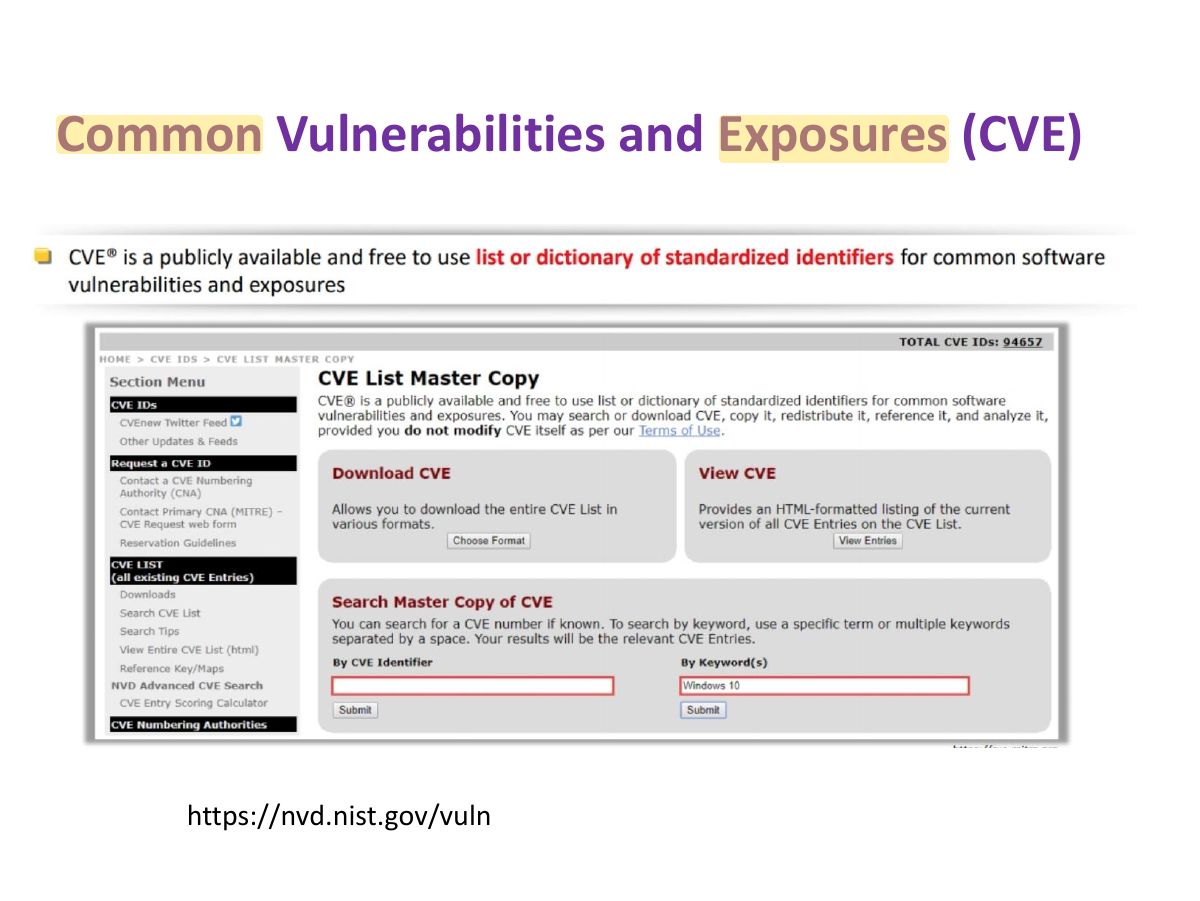 Slide 41: Common Vulnerabilities and Exposures (CVE)