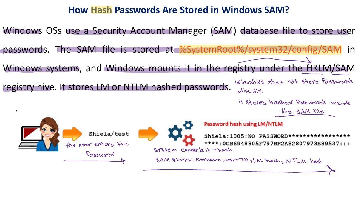 Slide 7: How Hash Passwords Are Stored in Windows SAM?