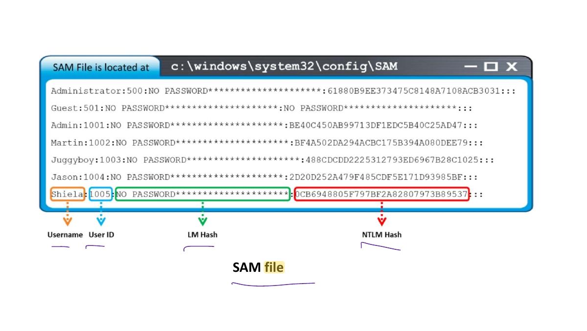 Slide 8: Slide 8