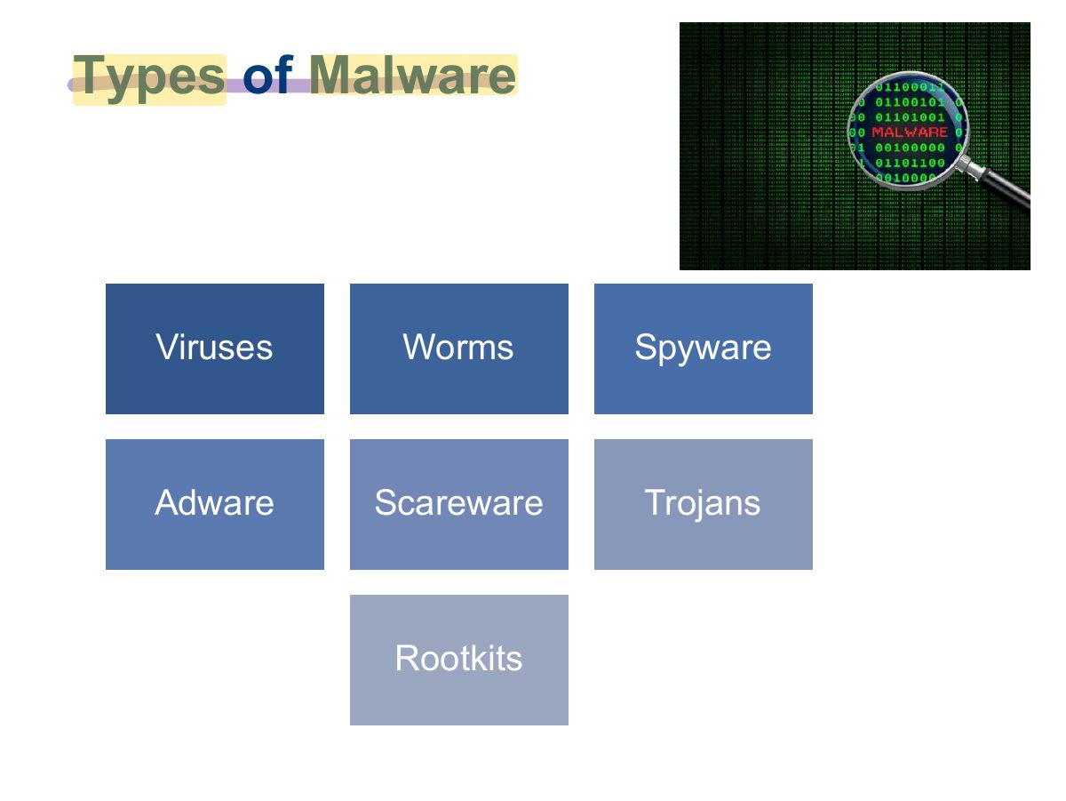 Slide 5: Types of Malware