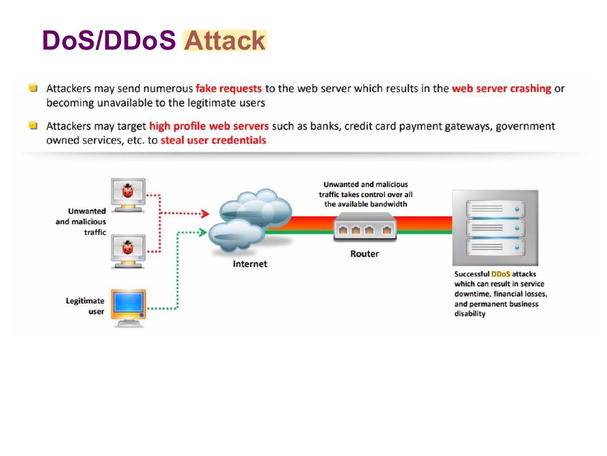 Slide 28: DoS/DDoS Attack