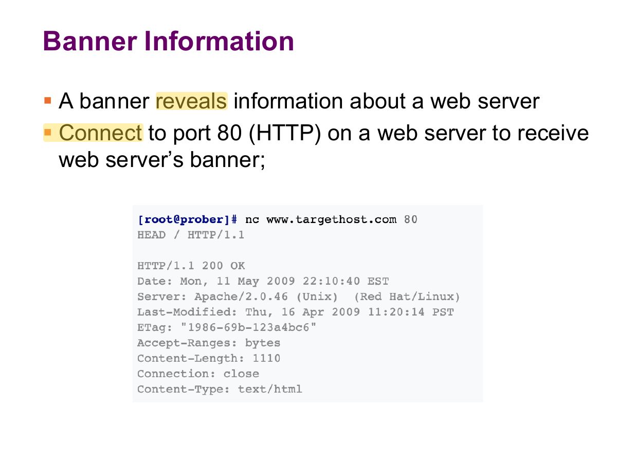 Slide 31: Banner Information