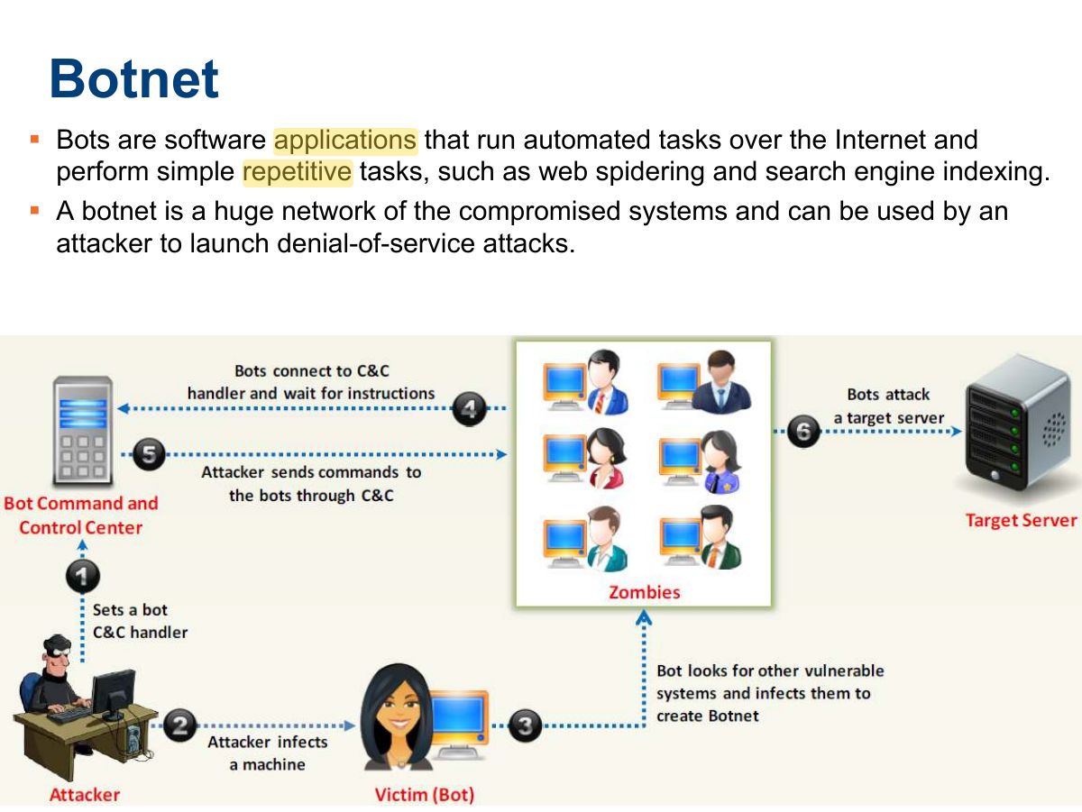 Slide 59: Botnet