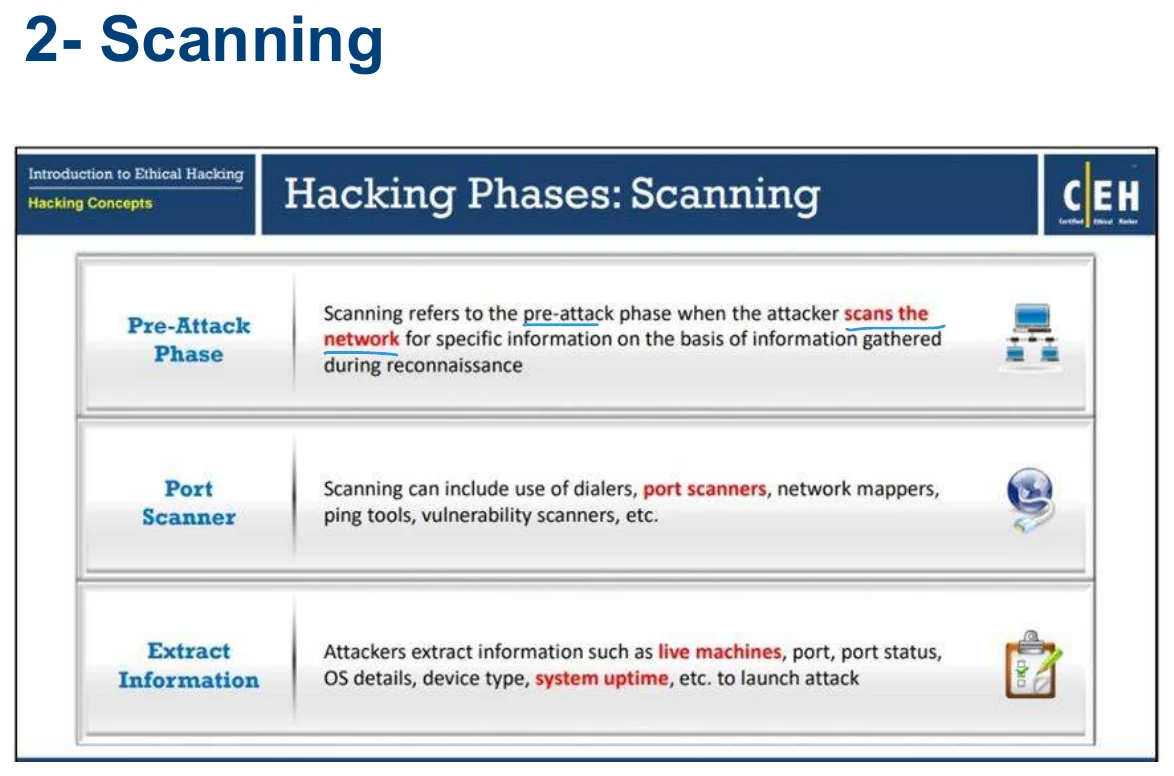 Phase 2: scanning.