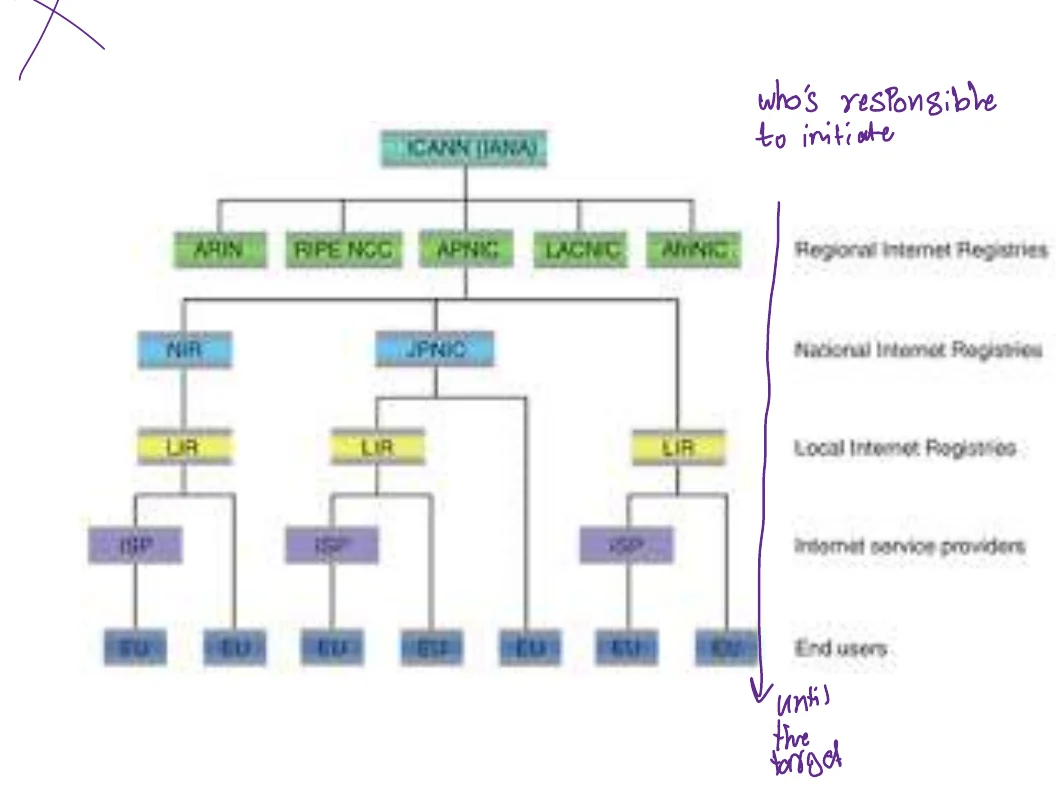 The DNS hierarchy an nslookup query walks.