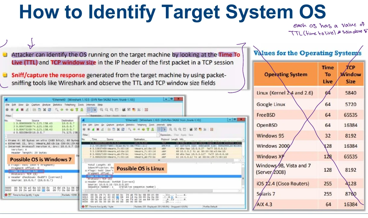 Identifying the target system's OS.