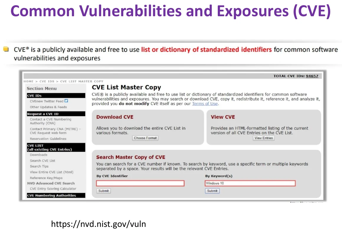 Common Vulnerabilities and Exposures (CVE).