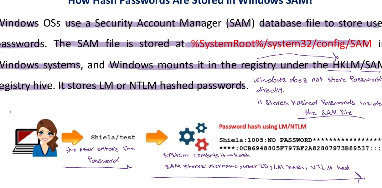 How password hashes are stored in the Windows SAM.