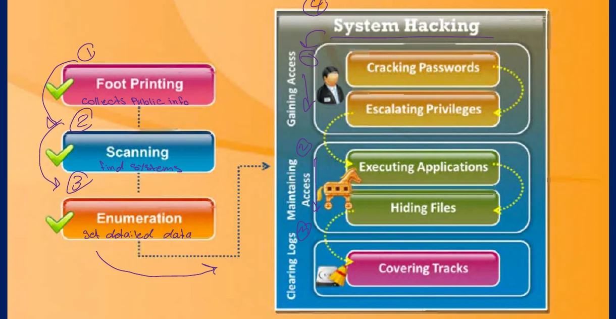The CEH hacking methodology.