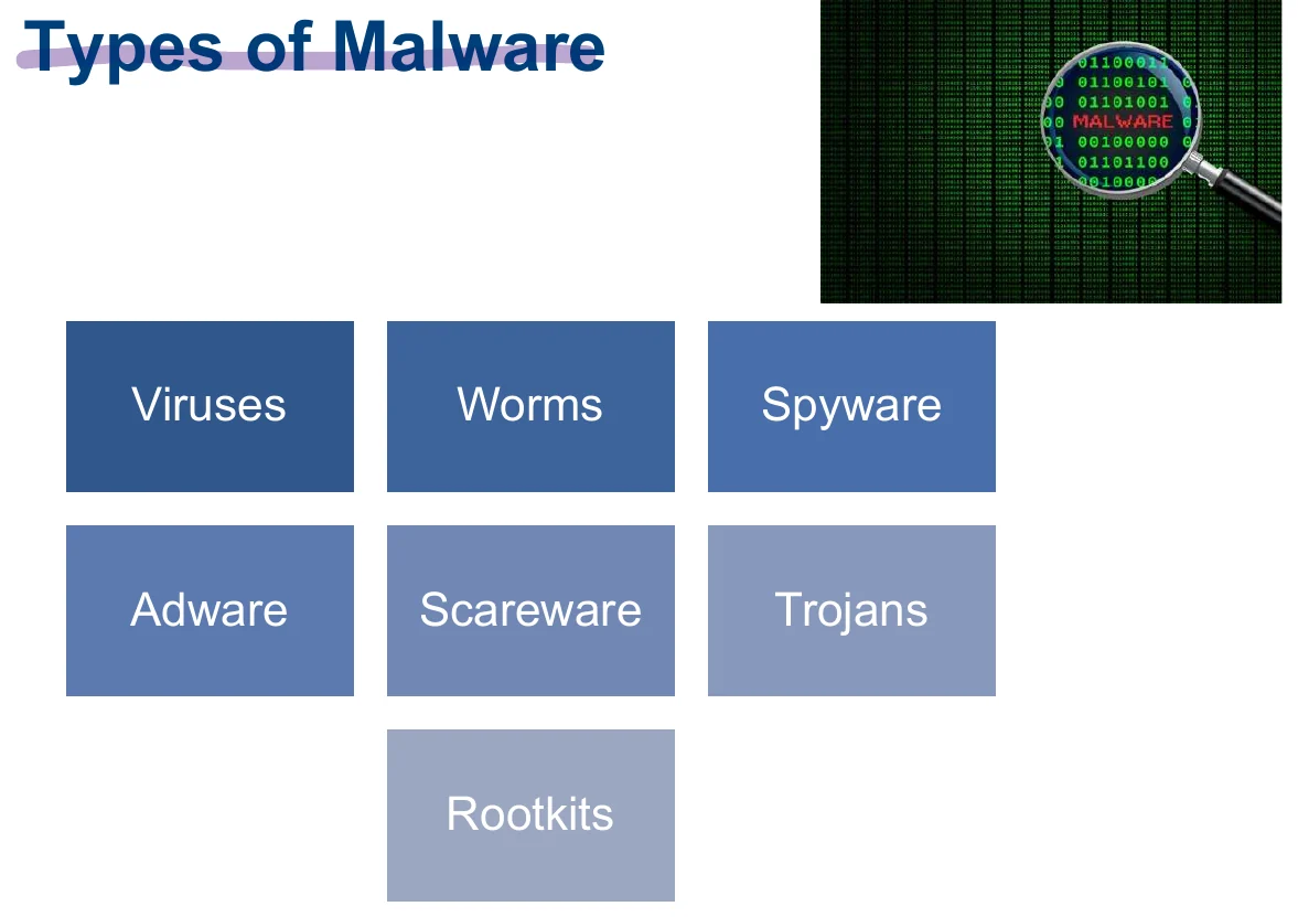 The types of malware.
