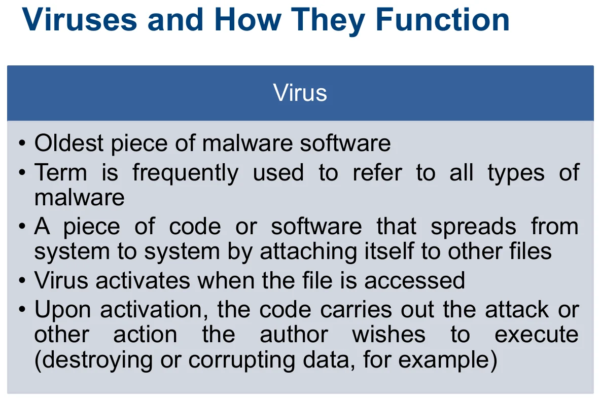 Viruses and how they function.