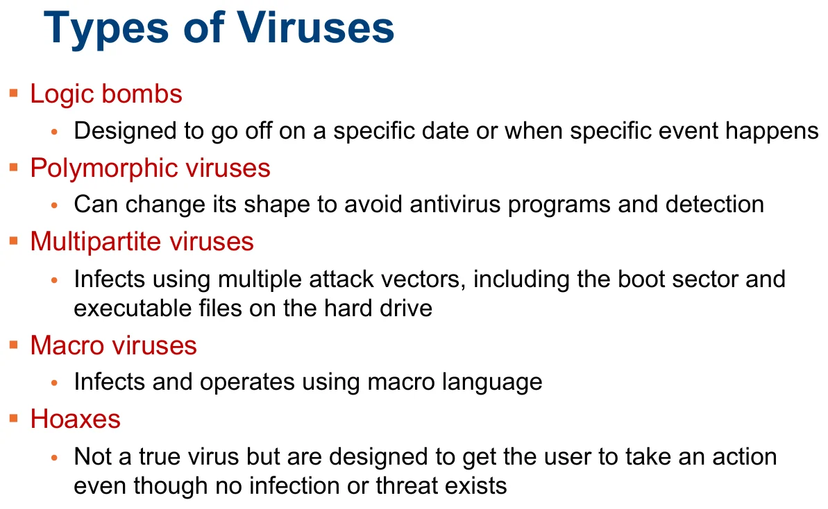 The types of viruses.