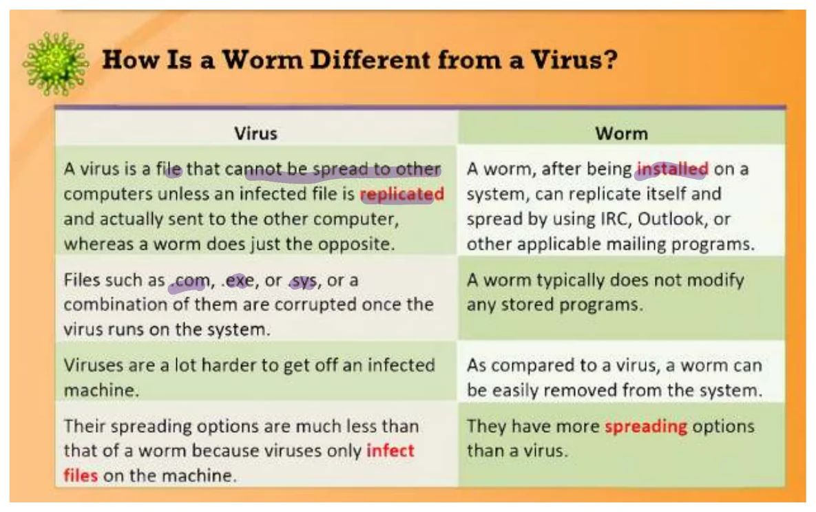 How a worm differs from a virus.