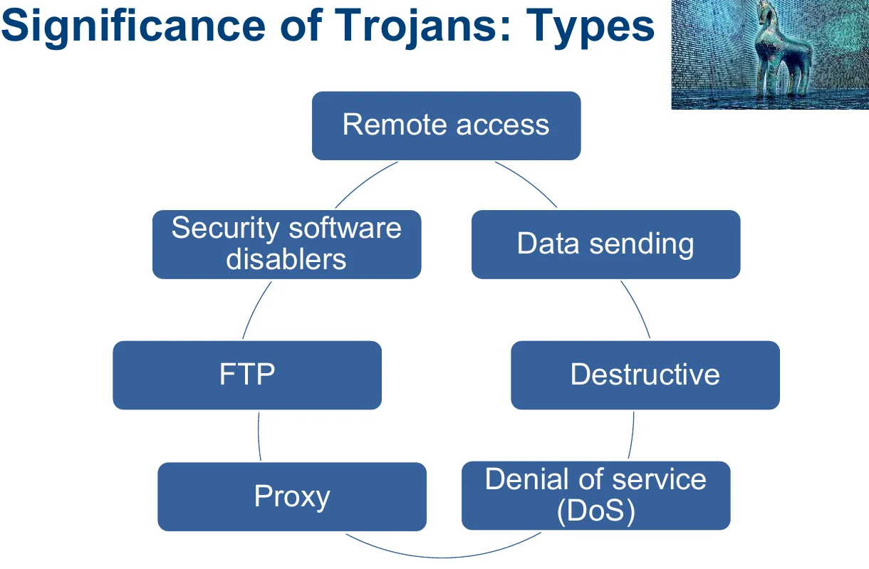 The significance of trojans: what they carry.