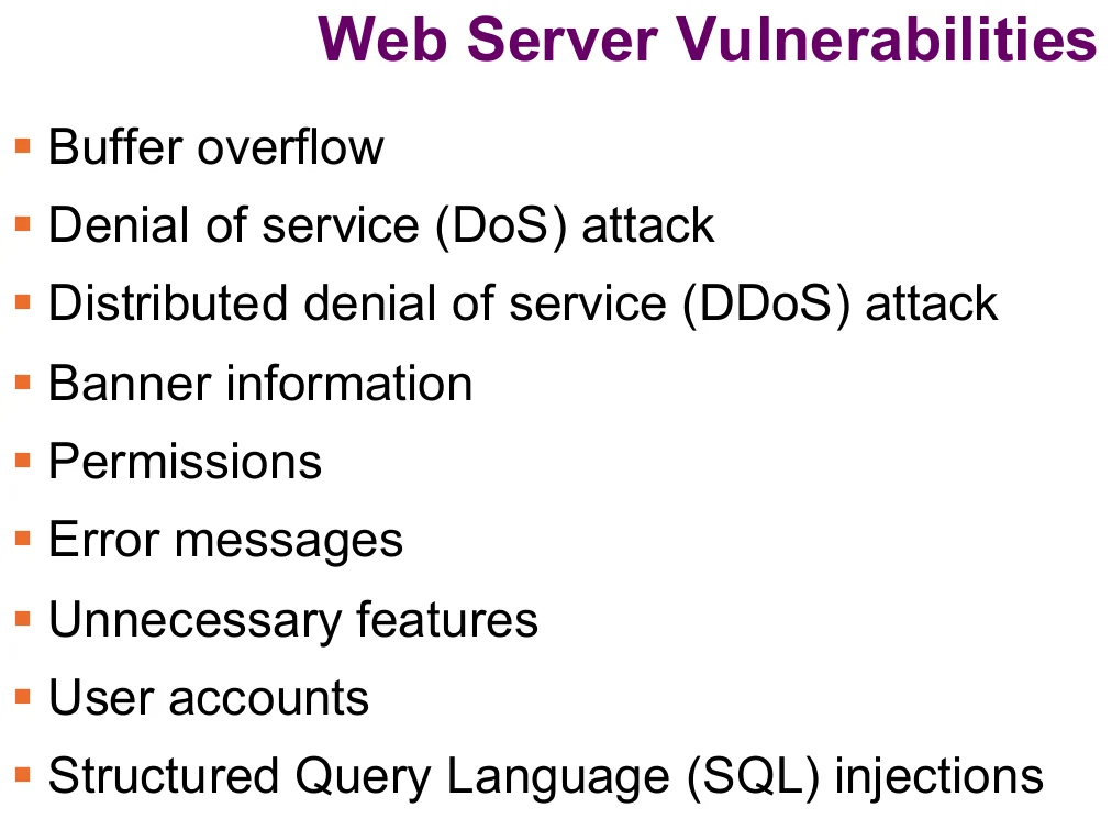Web server vulnerabilities.