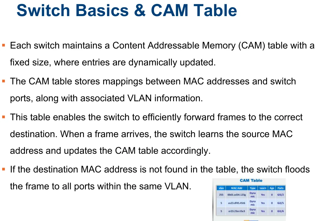 Switch basics and the CAM table.
