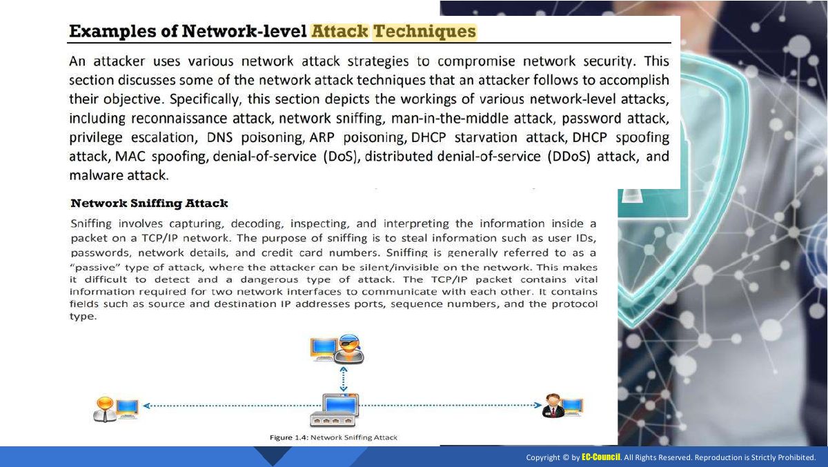 Slide 13: Slide 13
